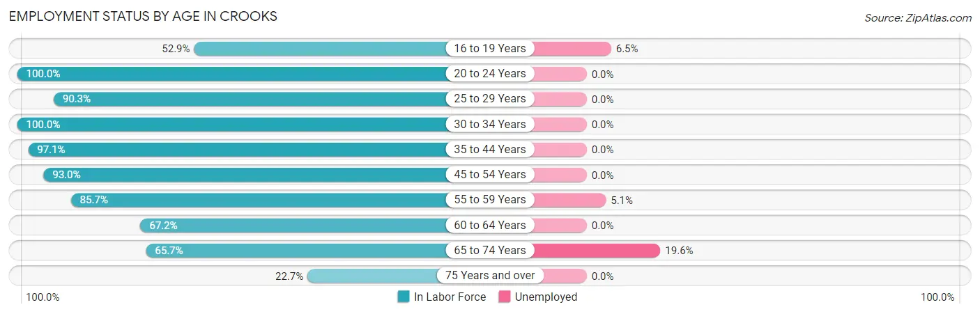 Employment Status by Age in Crooks