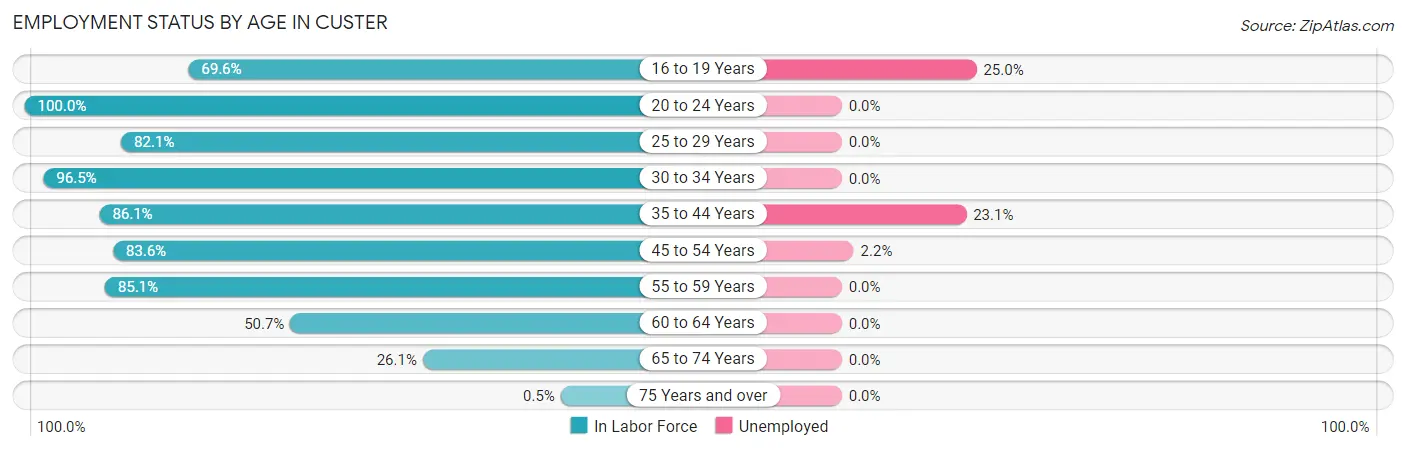 Employment Status by Age in Custer