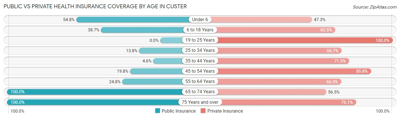 Public vs Private Health Insurance Coverage by Age in Custer