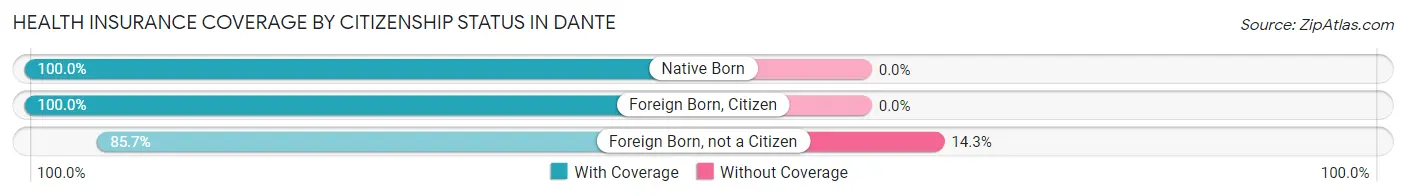 Health Insurance Coverage by Citizenship Status in Dante