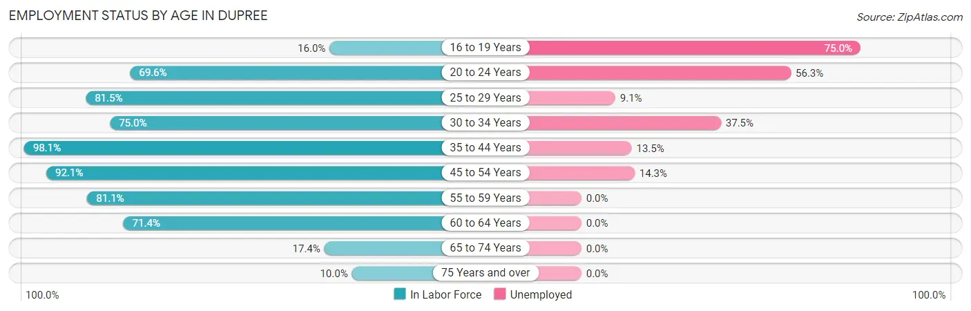 Employment Status by Age in Dupree