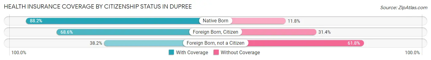 Health Insurance Coverage by Citizenship Status in Dupree