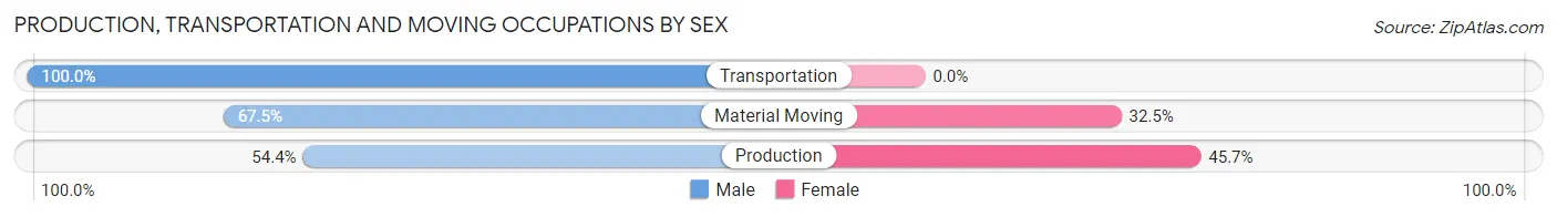 Production, Transportation and Moving Occupations by Sex in Elk Point