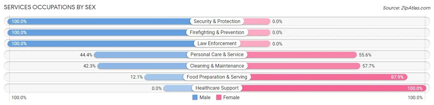 Services Occupations by Sex in Elk Point