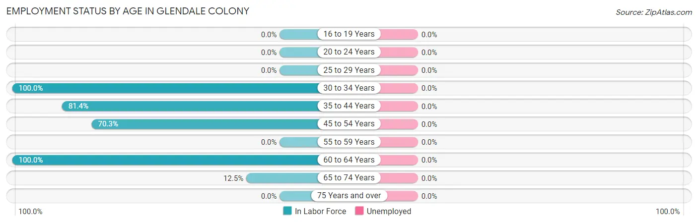 Employment Status by Age in Glendale Colony