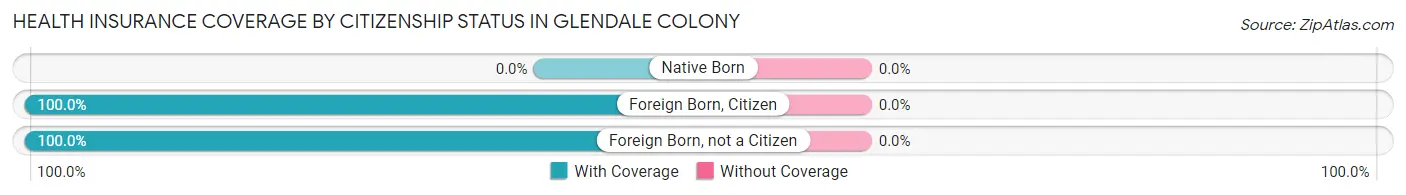 Health Insurance Coverage by Citizenship Status in Glendale Colony