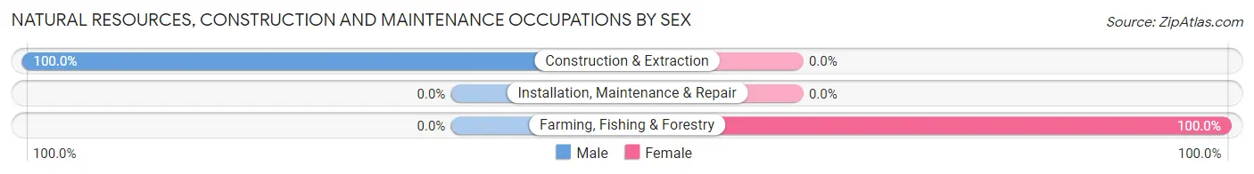 Natural Resources, Construction and Maintenance Occupations by Sex in Glendale Colony