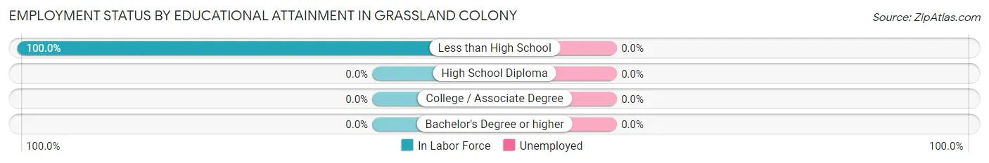 Employment Status by Educational Attainment in Grassland Colony