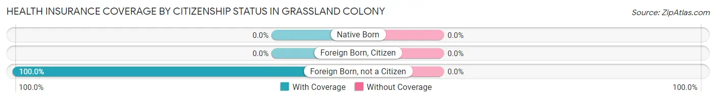 Health Insurance Coverage by Citizenship Status in Grassland Colony