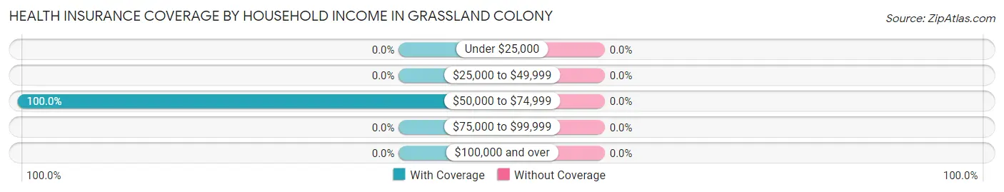Health Insurance Coverage by Household Income in Grassland Colony