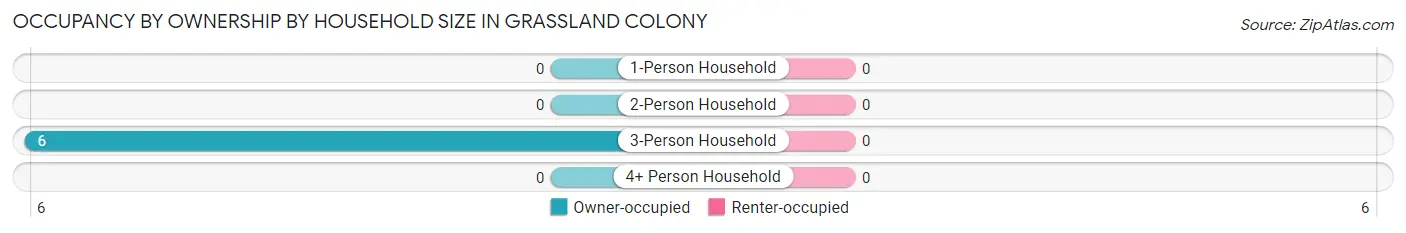 Occupancy by Ownership by Household Size in Grassland Colony