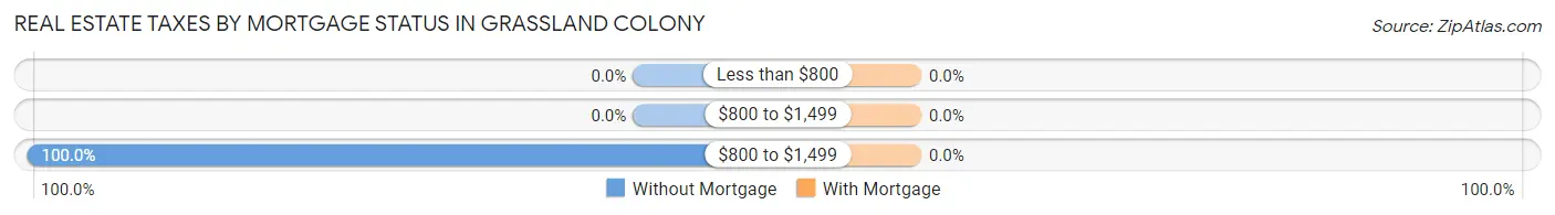 Real Estate Taxes by Mortgage Status in Grassland Colony