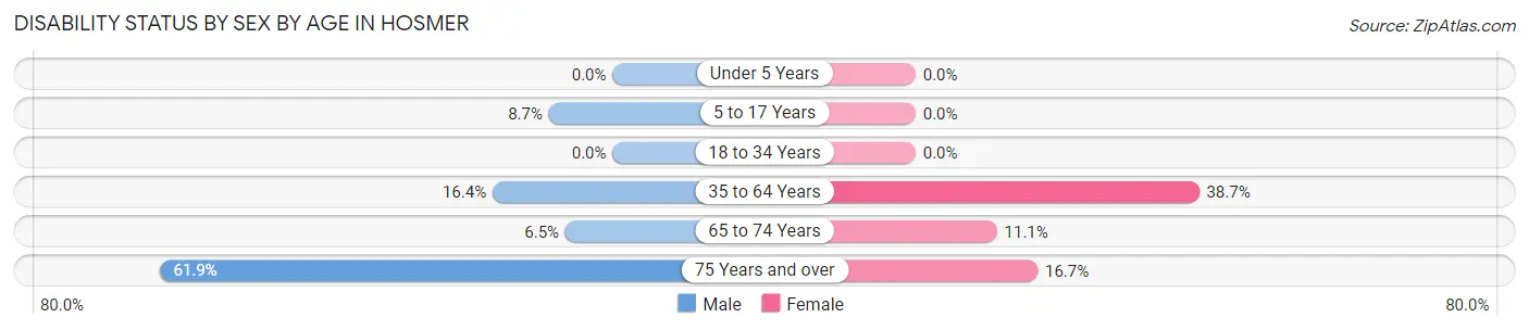 Disability Status by Sex by Age in Hosmer