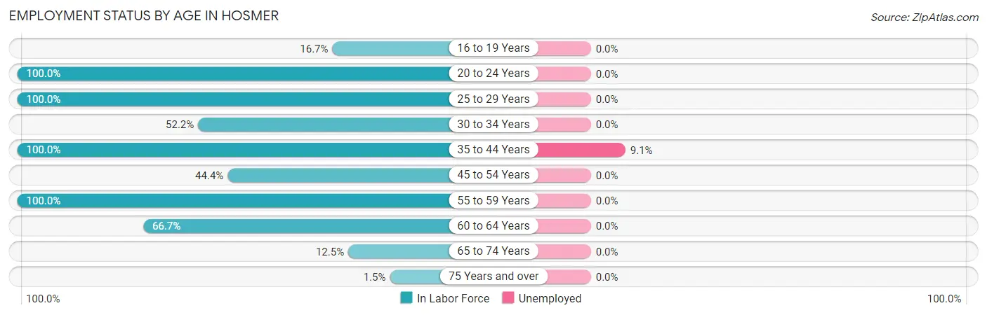 Employment Status by Age in Hosmer