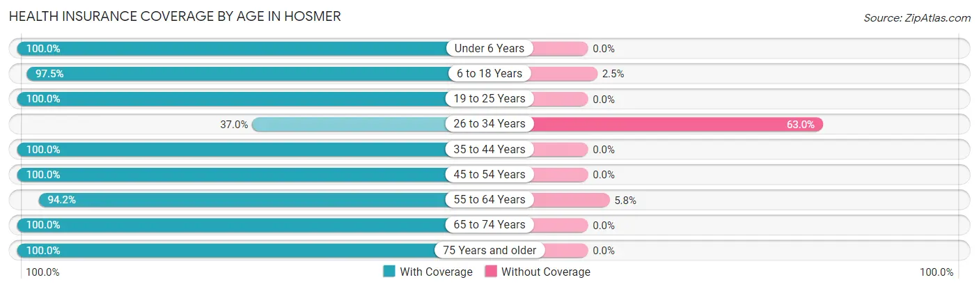Health Insurance Coverage by Age in Hosmer