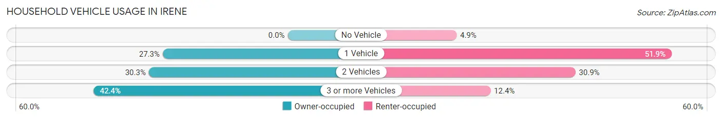 Household Vehicle Usage in Irene