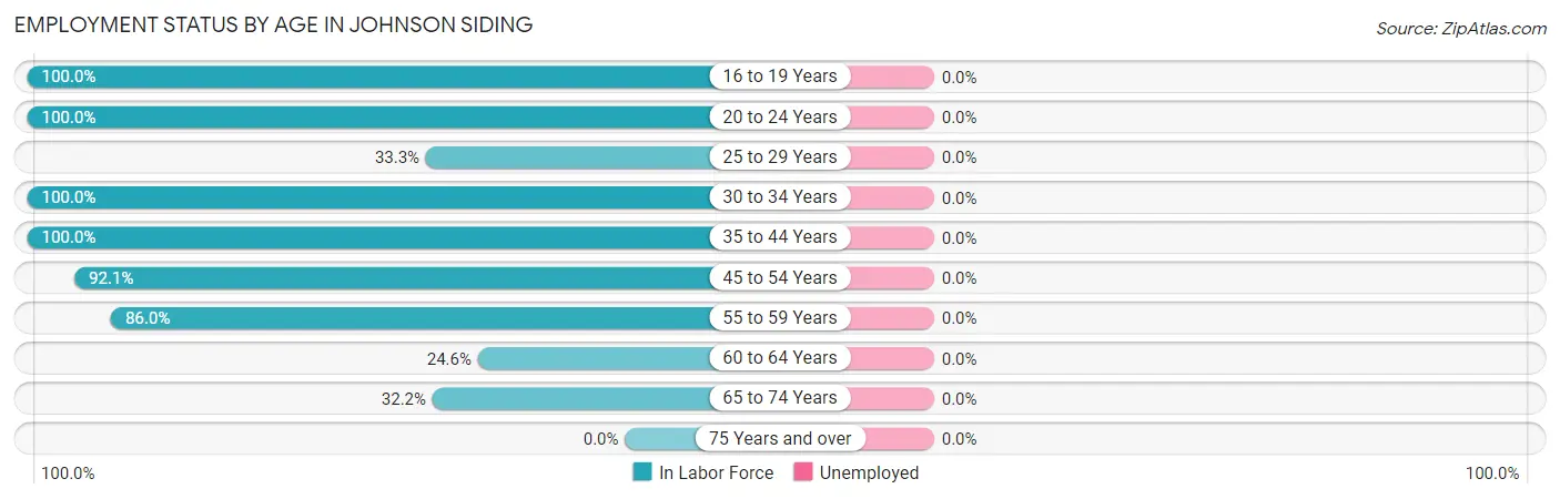 Employment Status by Age in Johnson Siding