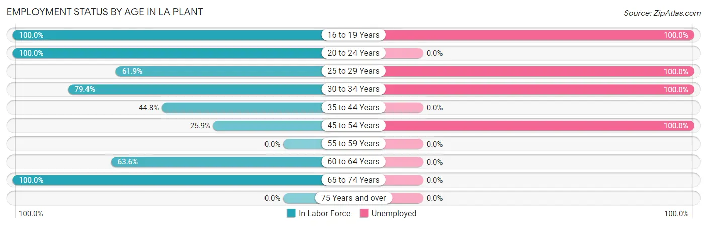 Employment Status by Age in La Plant