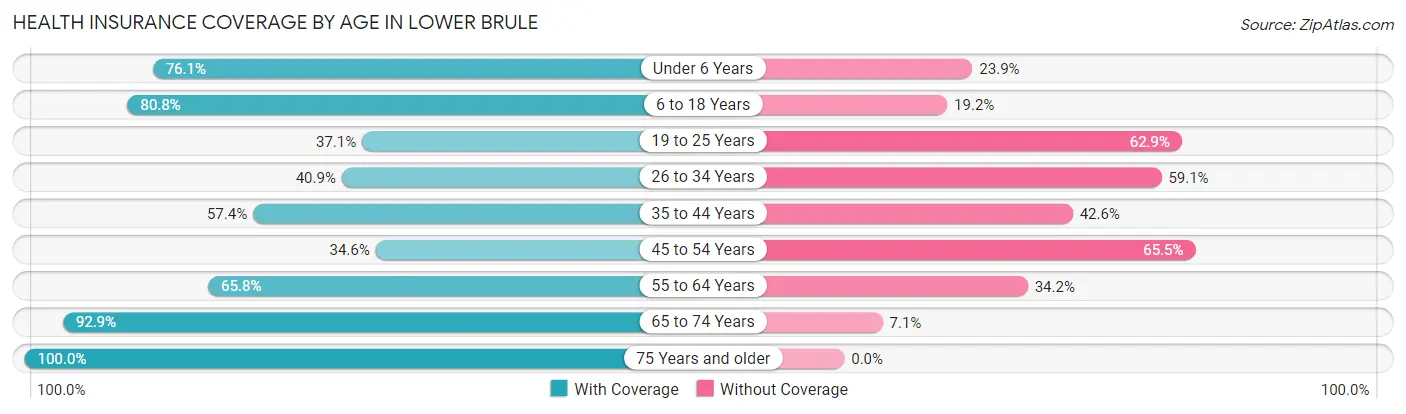 Health Insurance Coverage by Age in Lower Brule