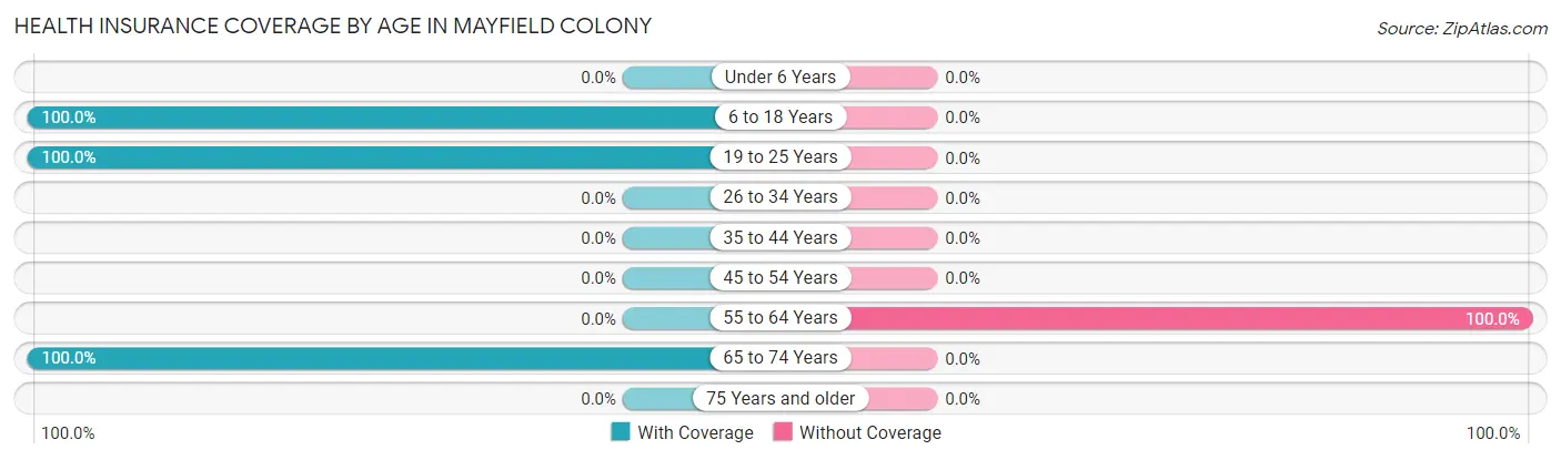 Health Insurance Coverage by Age in Mayfield Colony