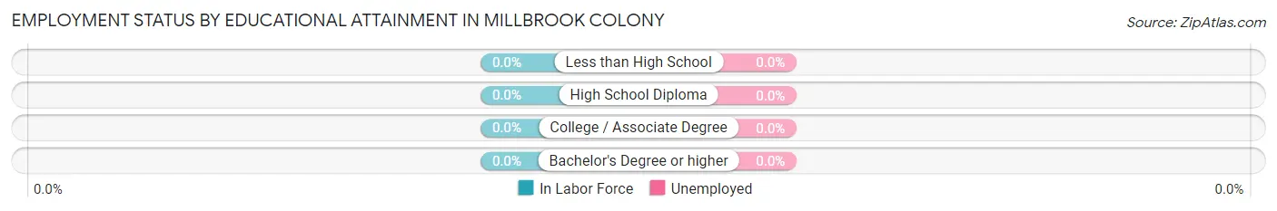 Employment Status by Educational Attainment in Millbrook Colony