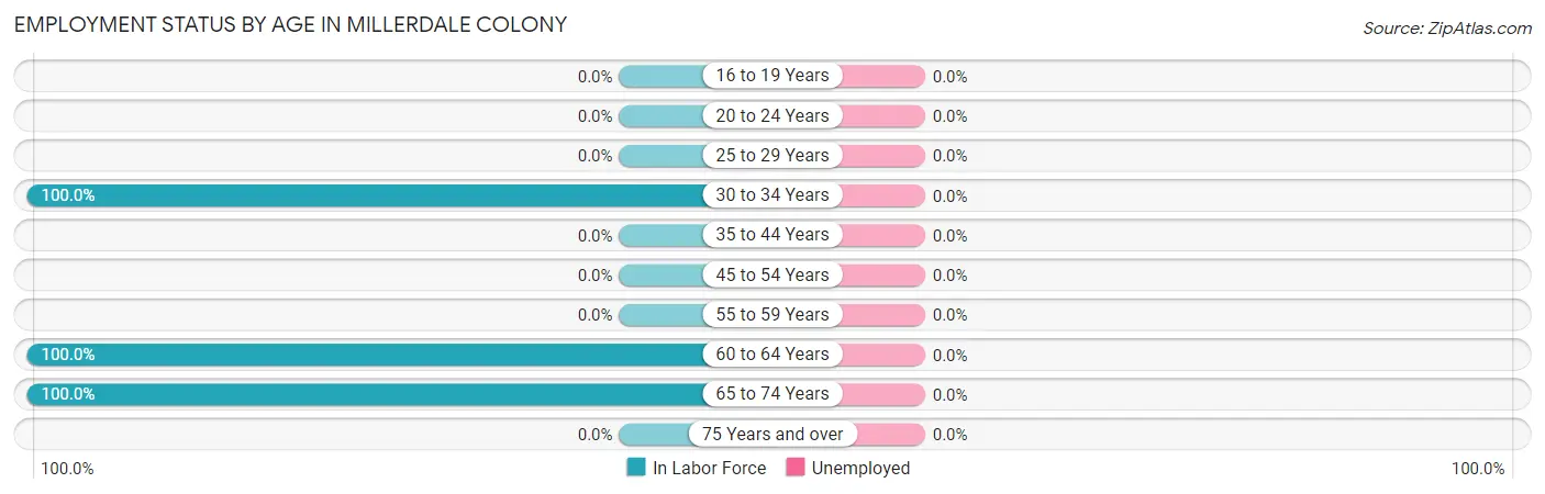Employment Status by Age in Millerdale Colony