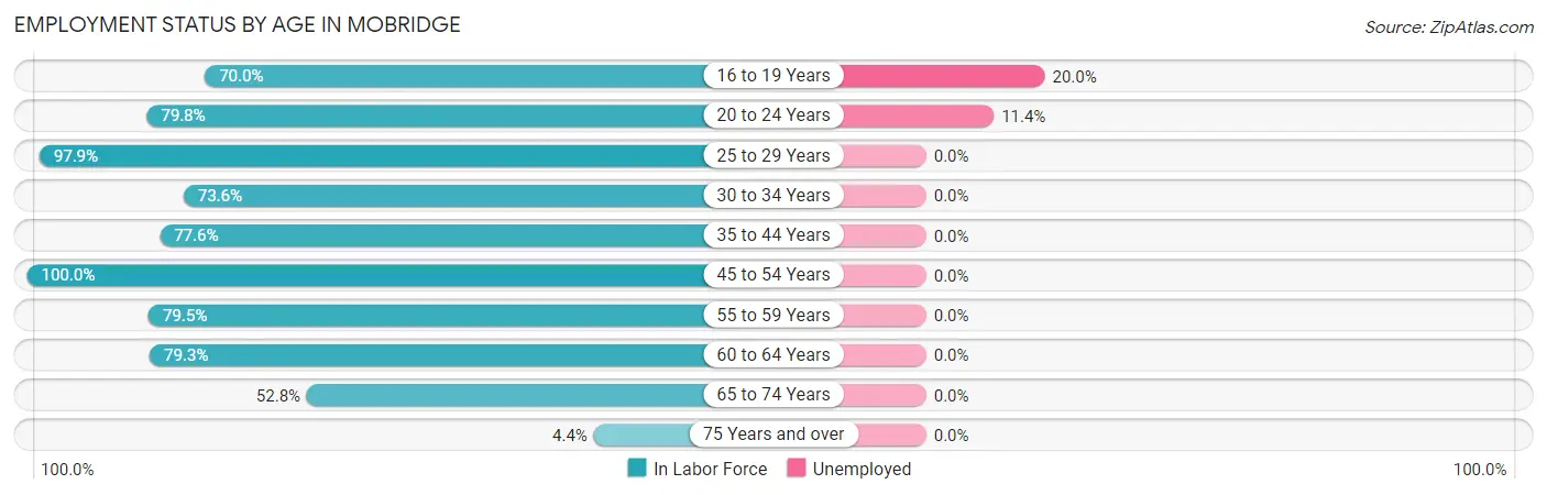 Employment Status by Age in Mobridge