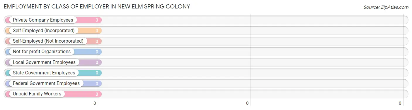 Employment by Class of Employer in New Elm Spring Colony