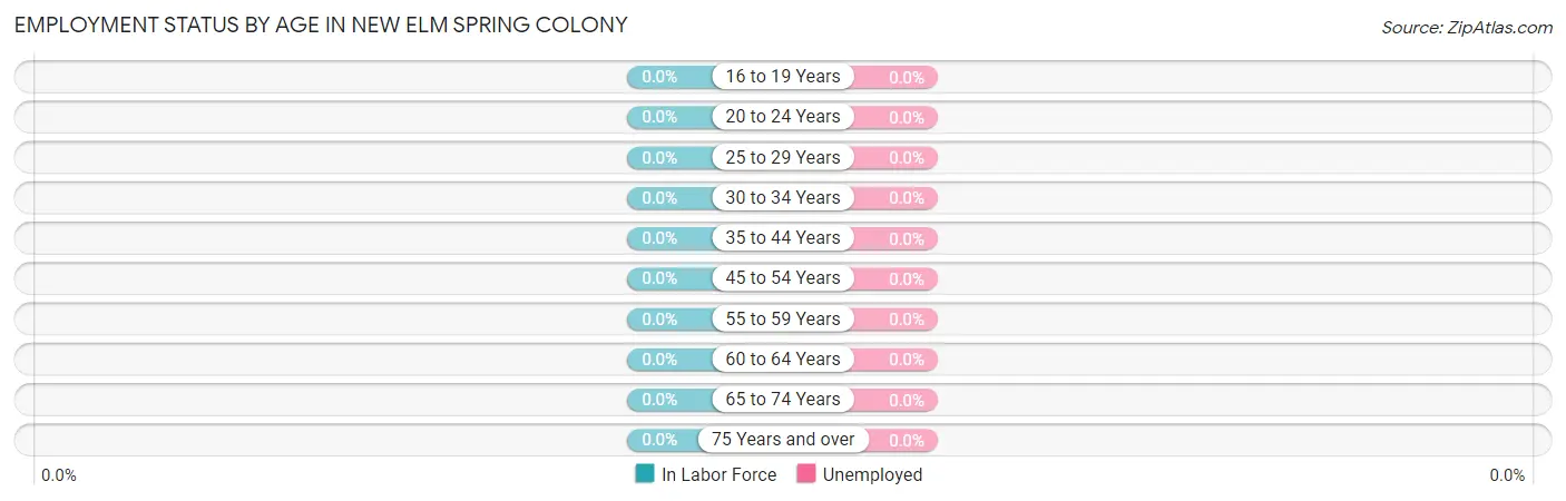 Employment Status by Age in New Elm Spring Colony
