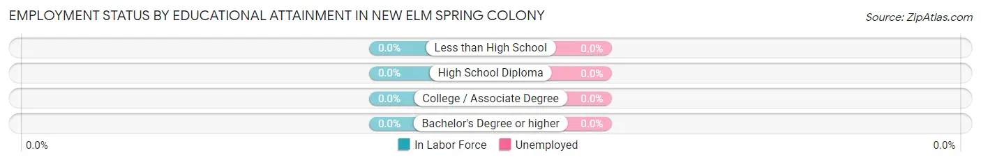 Employment Status by Educational Attainment in New Elm Spring Colony