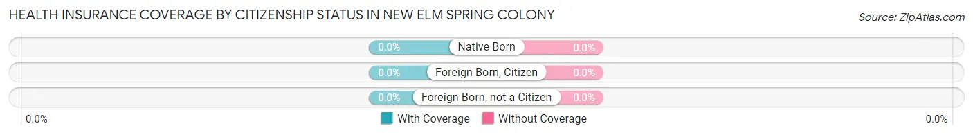 Health Insurance Coverage by Citizenship Status in New Elm Spring Colony