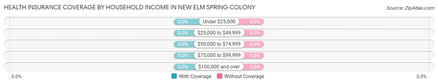 Health Insurance Coverage by Household Income in New Elm Spring Colony