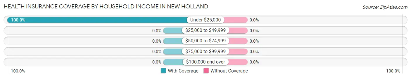 Health Insurance Coverage by Household Income in New Holland