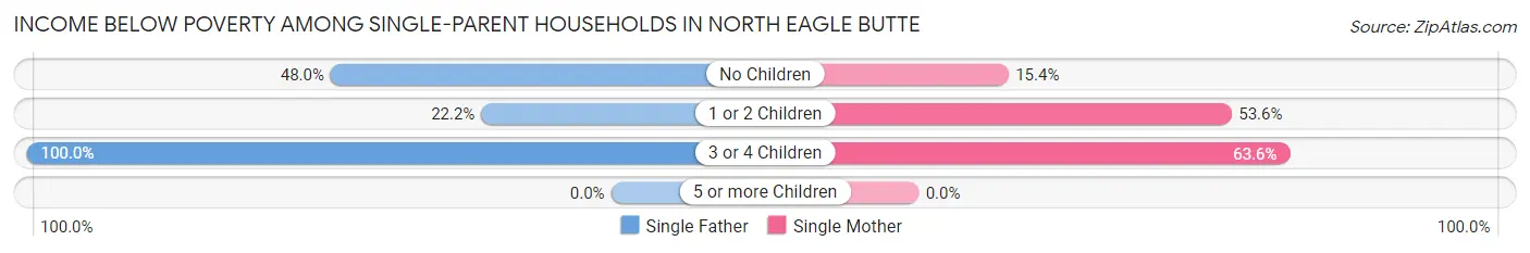 Income Below Poverty Among Single-Parent Households in North Eagle Butte