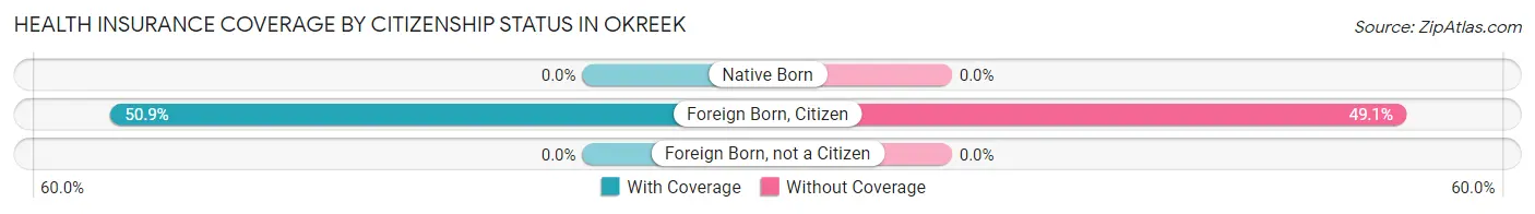 Health Insurance Coverage by Citizenship Status in Okreek
