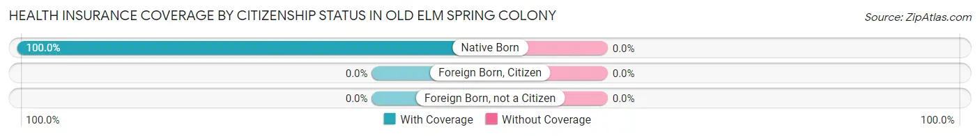 Health Insurance Coverage by Citizenship Status in Old Elm Spring Colony