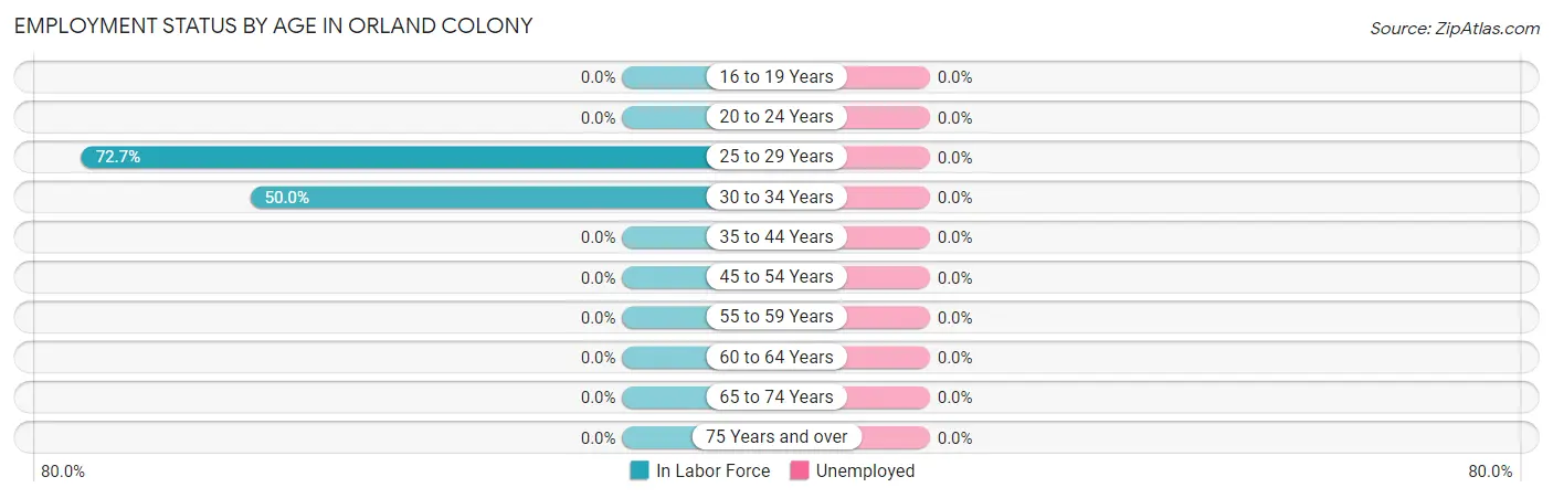 Employment Status by Age in Orland Colony