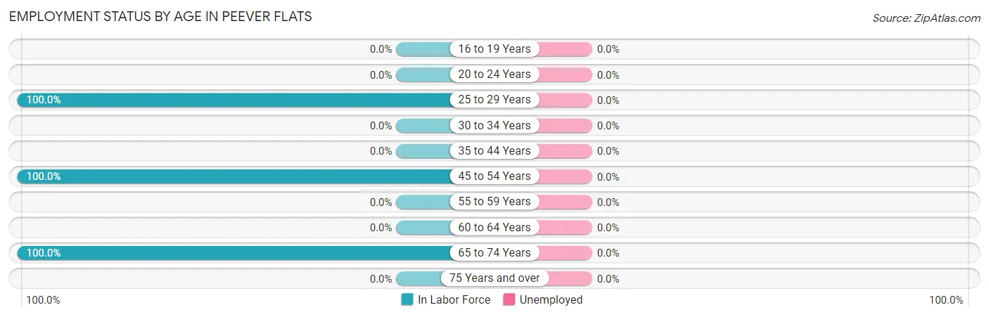 Employment Status by Age in Peever Flats