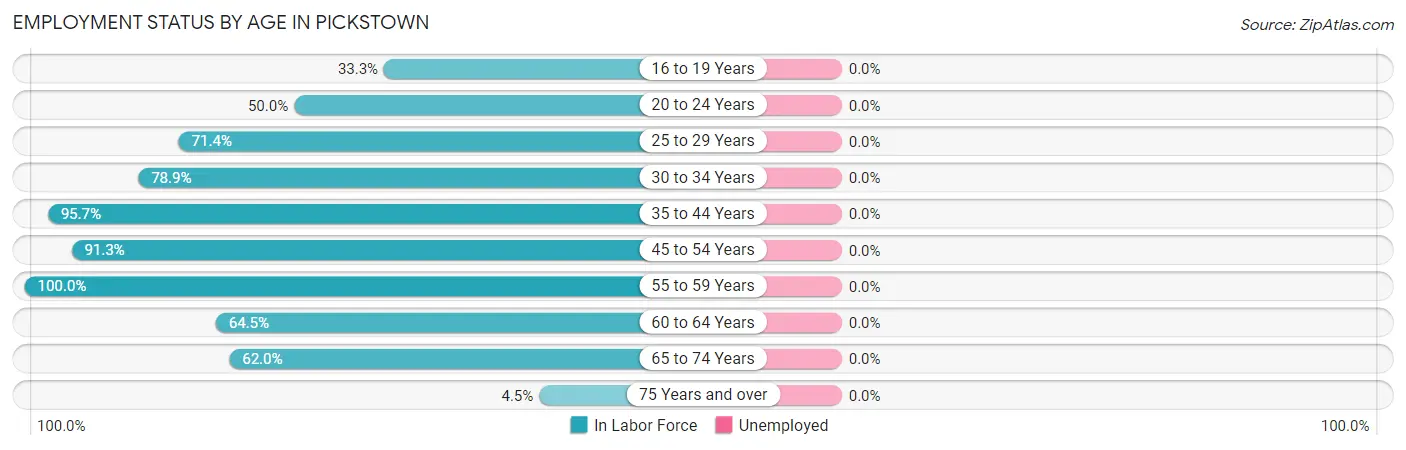 Employment Status by Age in Pickstown
