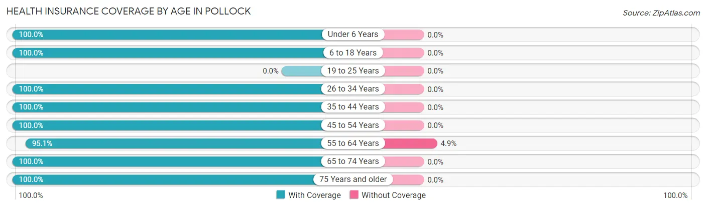 Health Insurance Coverage by Age in Pollock