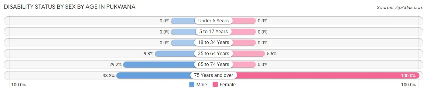 Disability Status by Sex by Age in Pukwana