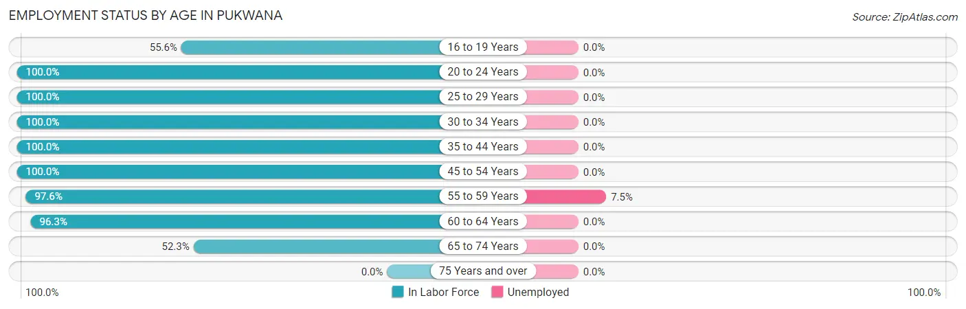 Employment Status by Age in Pukwana