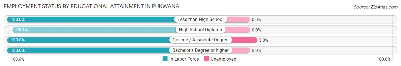 Employment Status by Educational Attainment in Pukwana
