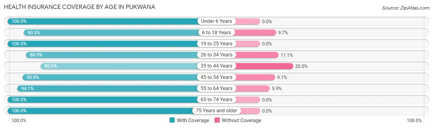 Health Insurance Coverage by Age in Pukwana