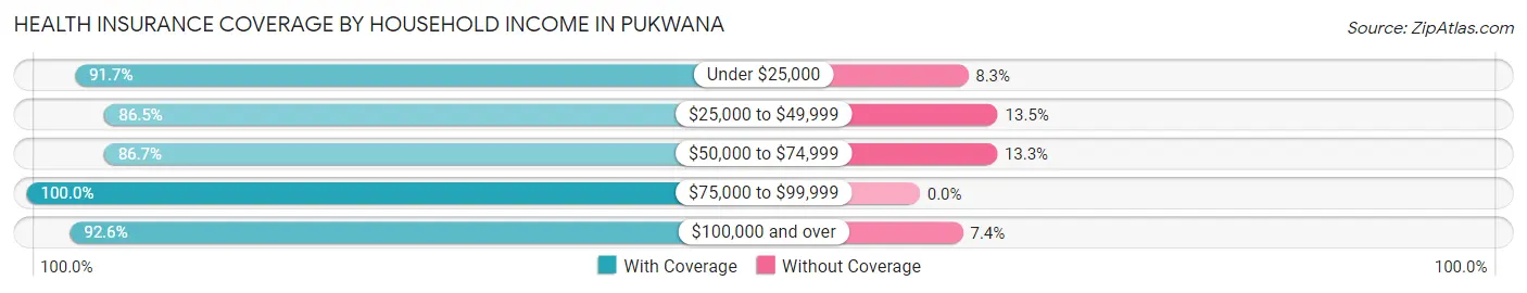 Health Insurance Coverage by Household Income in Pukwana
