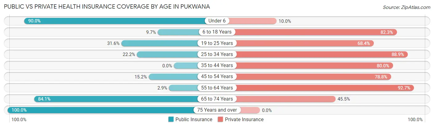 Public vs Private Health Insurance Coverage by Age in Pukwana