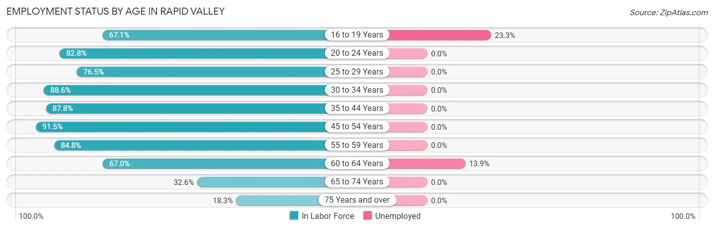 Employment Status by Age in Rapid Valley