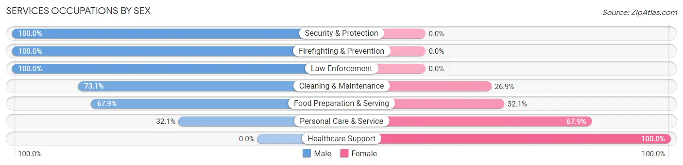 Services Occupations by Sex in Rapid Valley