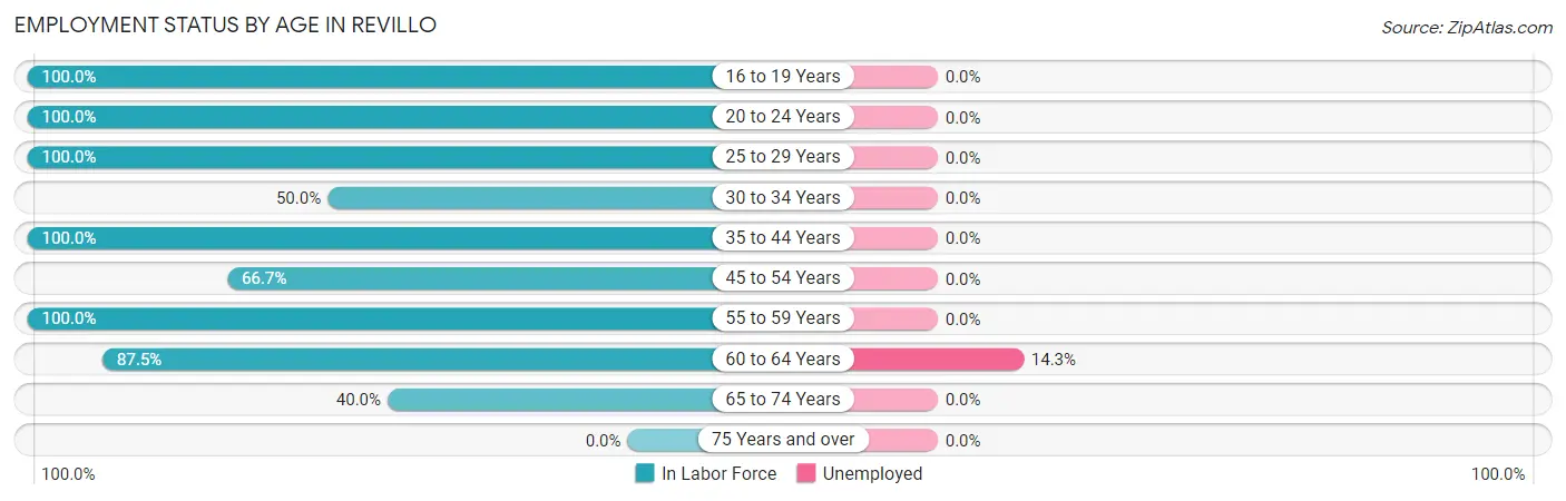 Employment Status by Age in Revillo