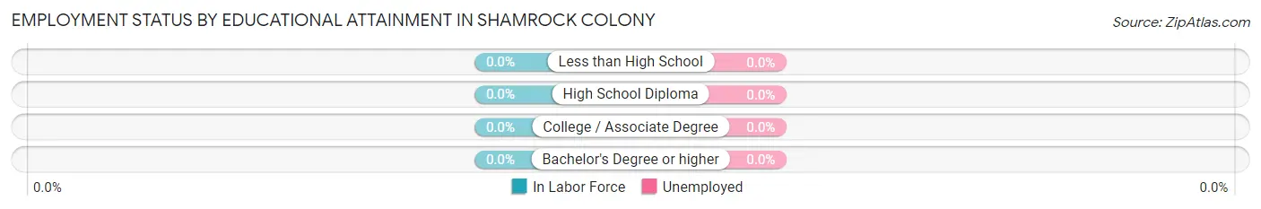 Employment Status by Educational Attainment in Shamrock Colony